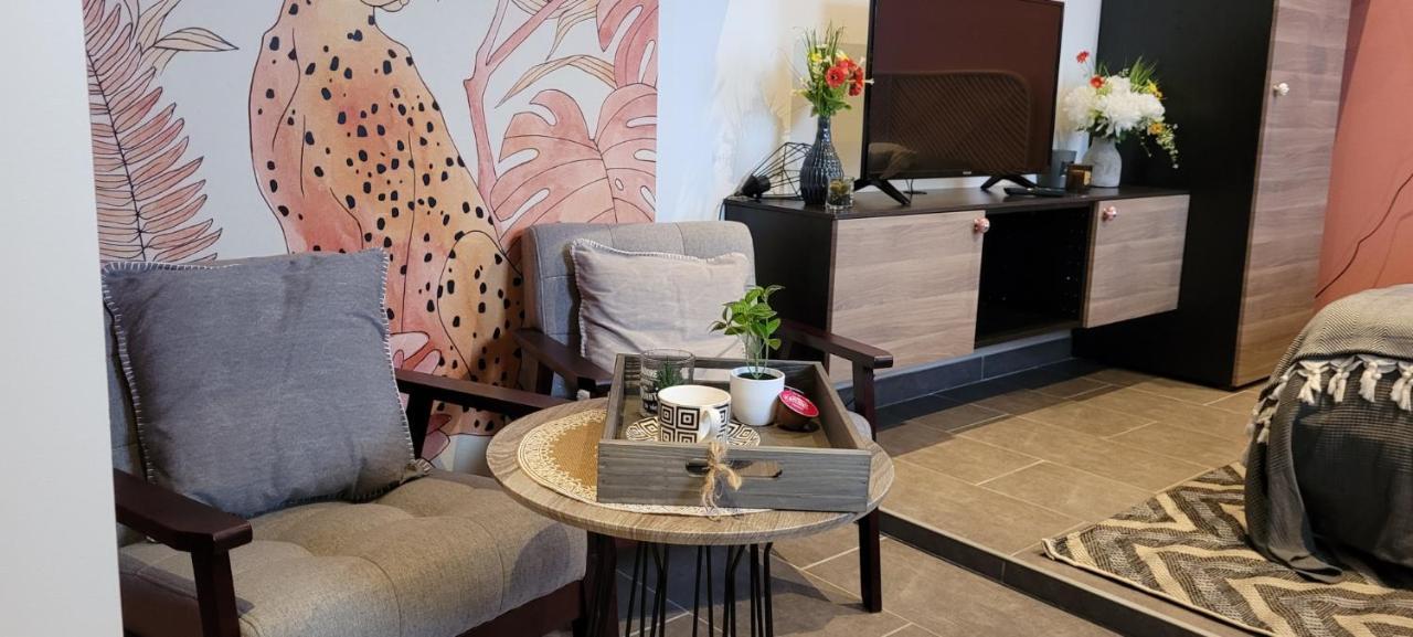 Studio Orange - Parc Asterix - Mer De Sable - Villepinte - Aeroport Cdg Vemars Екстериор снимка